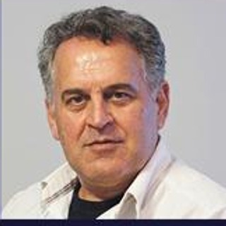 Younes Shameli